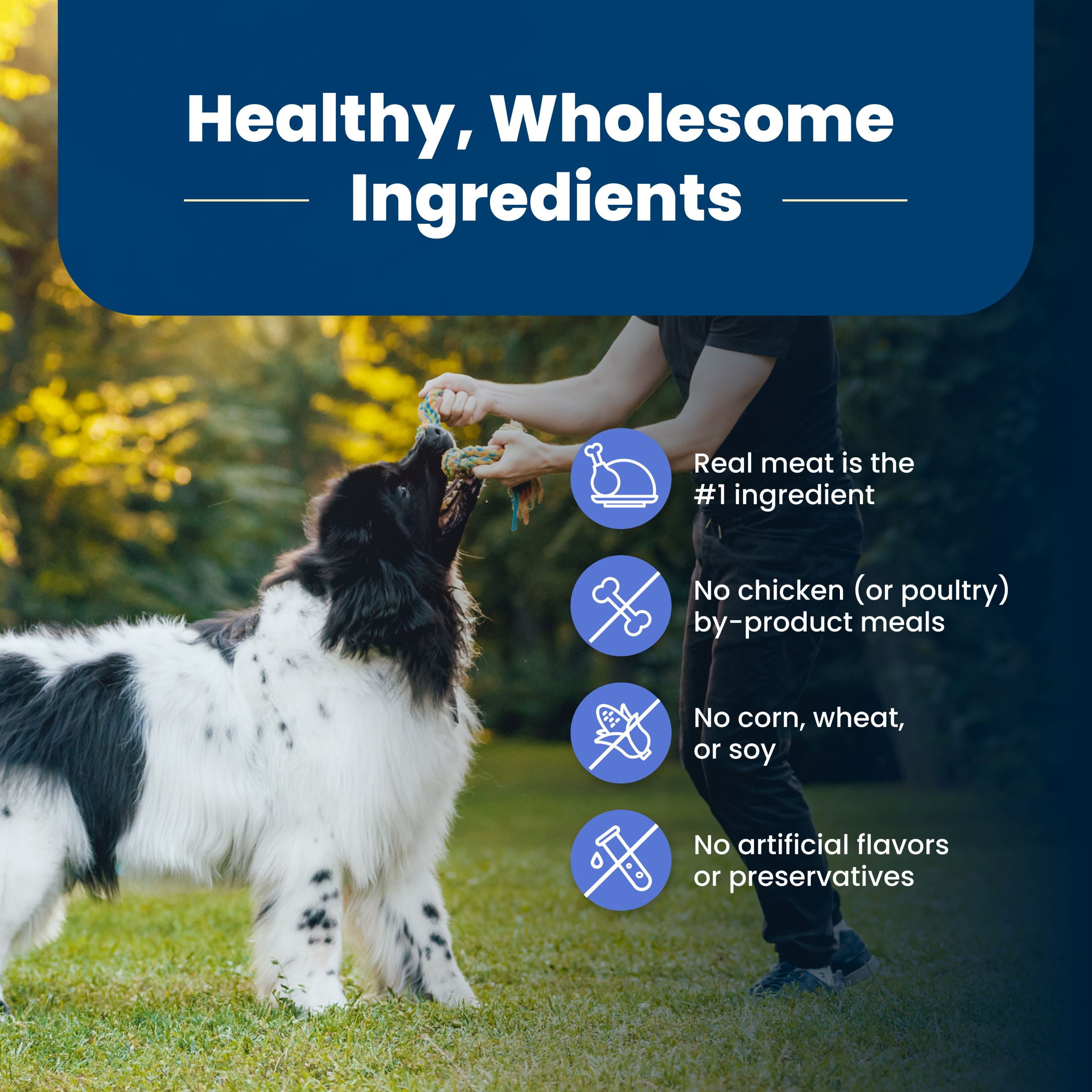 Blue Buffalo Life Protection Formula Weight Control Large Breed Dog Food, Chicken, 30 lbs.