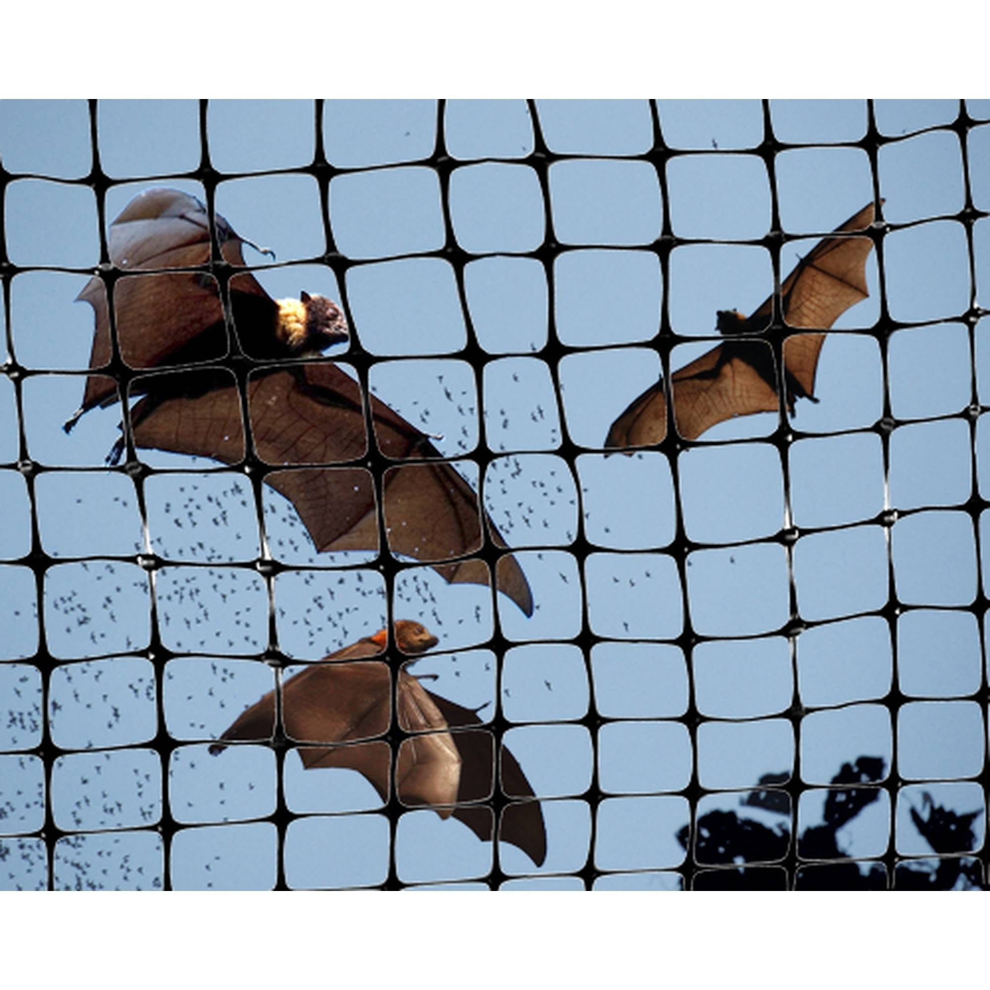Bird Garden Netting 3/4" Mesh Lightweight Bird Control, 100' Roll 14 Feet Wide Blocks Pest Birds
