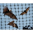 thumbnail image 2 of Bird Garden Netting 3/4" Mesh Lightweight Bird Control, 100' Roll 14 Feet Wide Blocks Pest Birds, 2 of 4