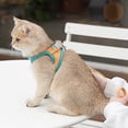 thumbnail image 4 of BotaniNest Cat Harness Cat Soft And Breathable Vest Cat Leash Easy To Wear For Cats Walking And Traveling, 4 of 4
