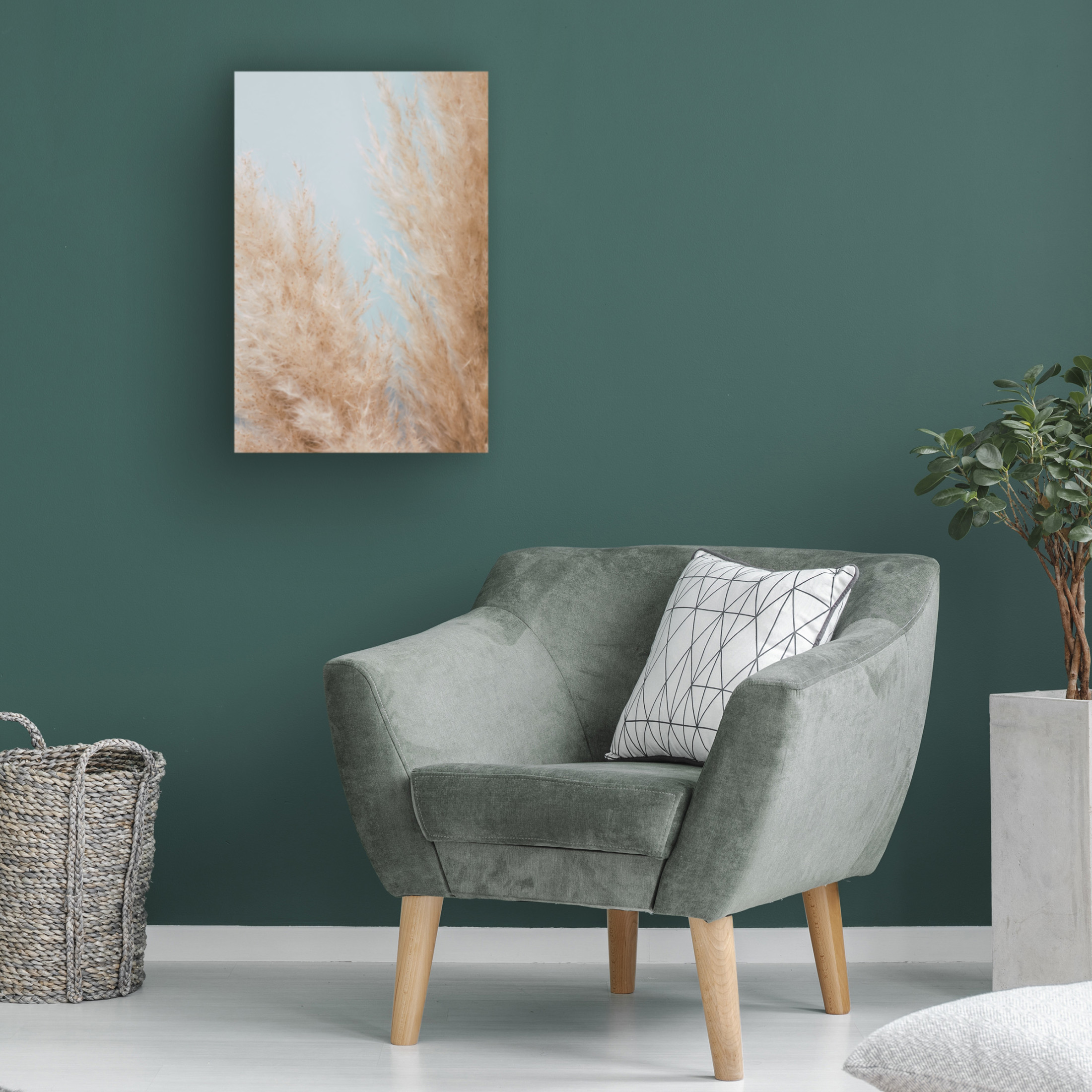 Trademark Fine Art Pictufy Studio Pampas Close 01 Canvas Wall Art