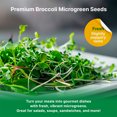 thumbnail image 5 of Organo Republic Broccoli Sprouting & Microgreens Seeds 8oz - 65,000 Non-GMO Heirloom Seeds, 5 of 6