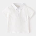 thumbnail image 4 of HCNTES Classic Toddler Boy Polo Set Handsome Two Piece Set For Kids Baby Boys' Short Sleeved Shorts Toddler Boy Summer Clothes, 4 of 5