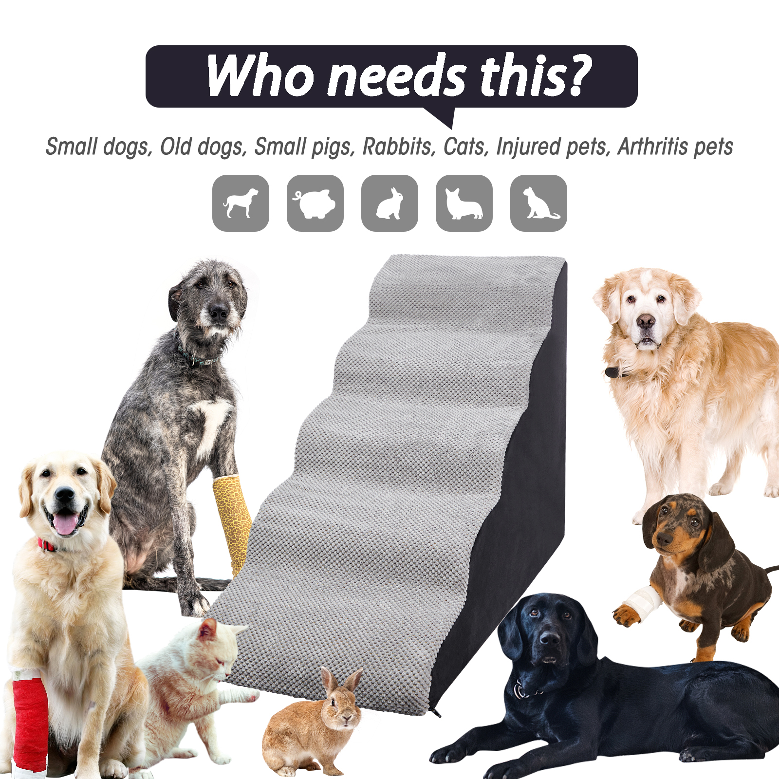 Best pet ramp for small dogs best sale