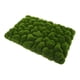 thumbnail image 5 of FUTUREORYY De Pared Con Musgo Falso Panel De Espuma Para Ambientar Interiores, 5 of 7