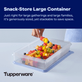 thumbnail image 2 of Tupperware Snack-Store Plastic Large Food Storage Container with Lid, 2 of 5