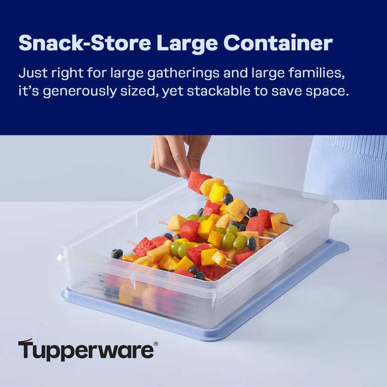 Tupperware Snack-Store Plastic Large Food Storage Container, Clear