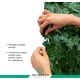 thumbnail image 5 of Rollo Follaje Artificial Muro Verde 3mtrs X 3mtrs Enredadera Sky Green HJFV33050000, 5 of 6