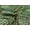 Dark Green, variant on TRILOKI Green Banarasi Blended Silk Brocade Banarasi Blended Silk Brocade DIY Arts & Crafts, Sewing, Wedding Dress, Crafts, Inches 44 By The Yard