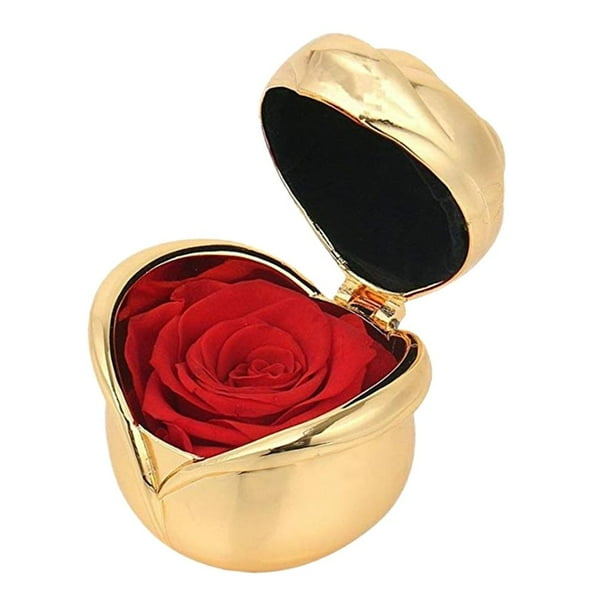 Flor Fresca Preservada Hecha para Propuesta de Matrimonio Oro rojo
