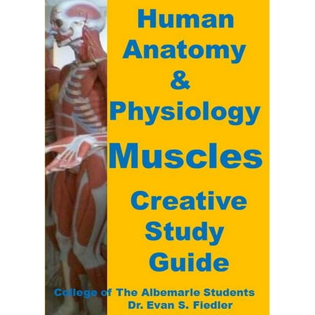 Human Anatomy & Physiology: Muscles - eBook (Best Muscle Anatomy App)
