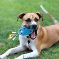 thumbnail image 2 of Uds. De juguetes para perros, pelota de rugby de goma para vocalizar, resistente a mordeduras, para aliviar el aburrimiento, juguetes para mascotas llamados extraños MFZFUKR BST3055814-1, 2 of 6