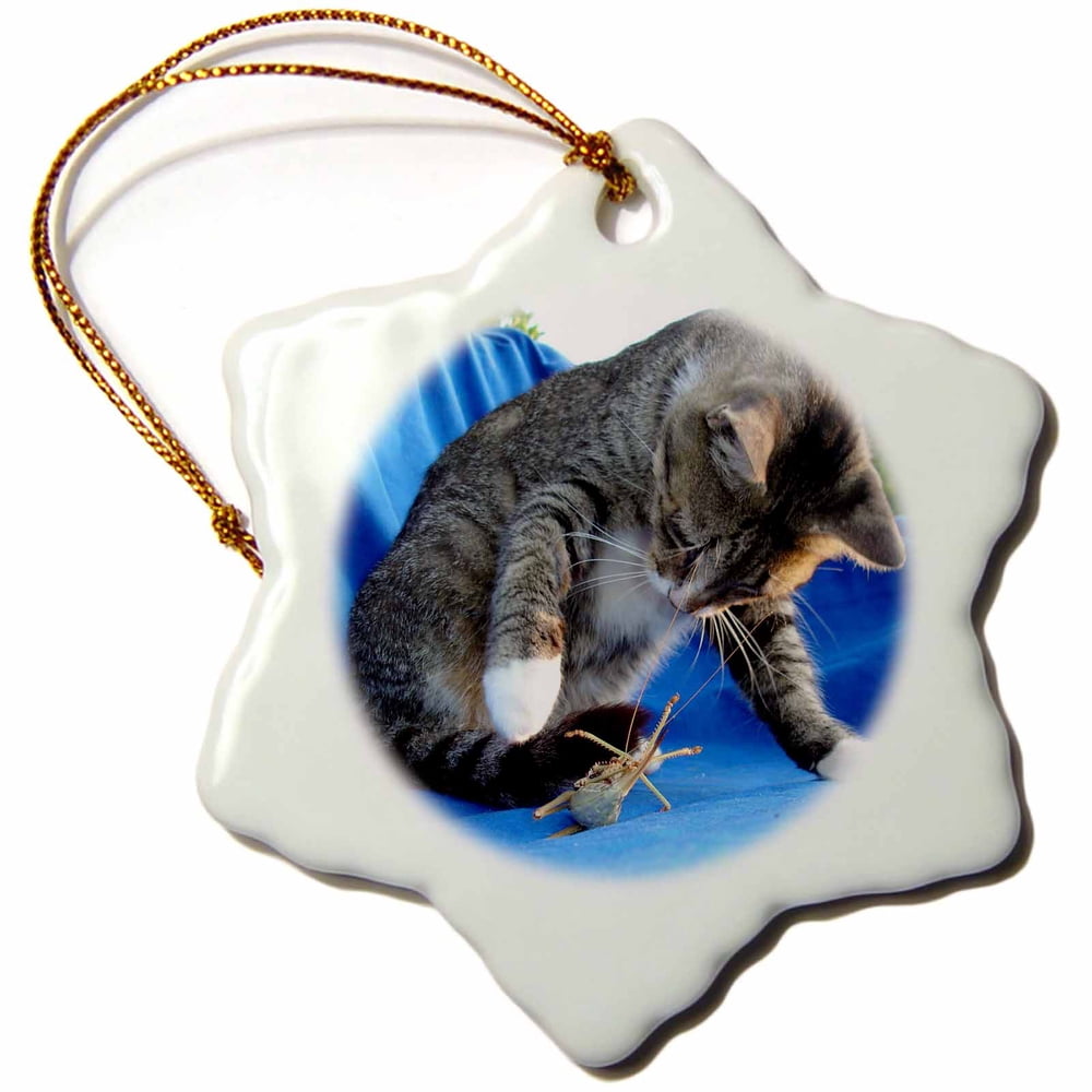 3dRose Cats Tabby Cat Snowflake Ornament 3 inch Walmart 