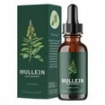 thumbnail image 1 of Mullein Drops Mullein Mullein Extract Mullein Leaf Extract, Etherglam Mullein Extract, Super Concentrated Mullein Leaf Liquid Extract, Improve Lungs, Keep Your Breath Healthy (2PCS), 1 of 6