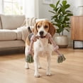 thumbnail image 3 of Vibrant Life Multicolor 4-Knot Rope Dog Toy, Chew Level 2, 3 of 9