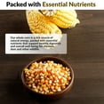 thumbnail image 6 of Old Potters Premium Whole Corn kernels, Nutrition for Chicken Deer and Wildlife, NON GMO USA Grown 50 lbs, 6 of 9