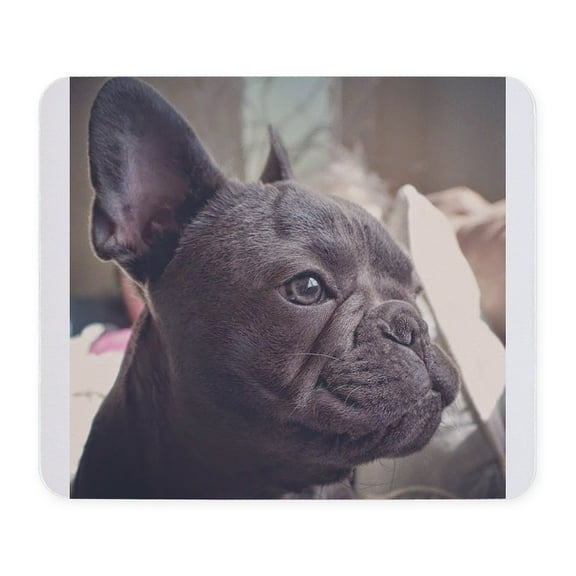 CafePress - French Bulldog Mousepad - Non-slip Rubber Mousepad, Gaming Mouse Pad