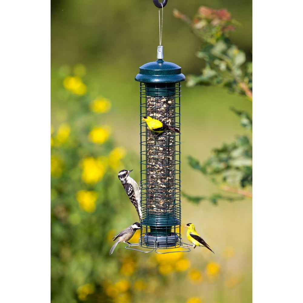 Brome Squirrel Solution 150 Bird Feeder