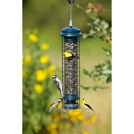 Brome Squirrel Solution 150 Bird Feeder Walmart Com