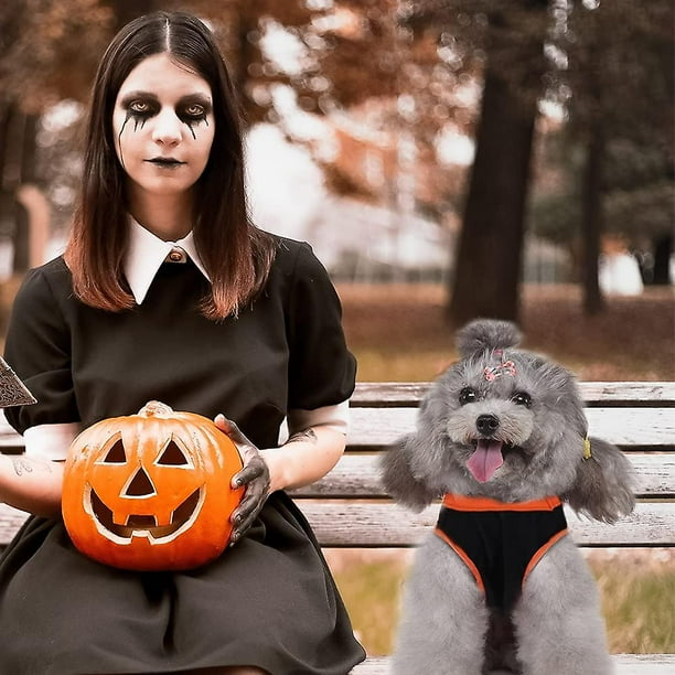 Dog hot sale cosplay costumes