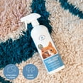 thumbnail image 3 of Messy Pet Cat Stain + Odor Remover Cleans Urine Smells from Carpet, Couch, Mattress - 27 oz, 3 of 7