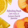 thumbnail image 6 of Function of Beauty Custom Wavy Hair Shampoo Base with Fermented Rice Water 11 fl oz, 6 of 9