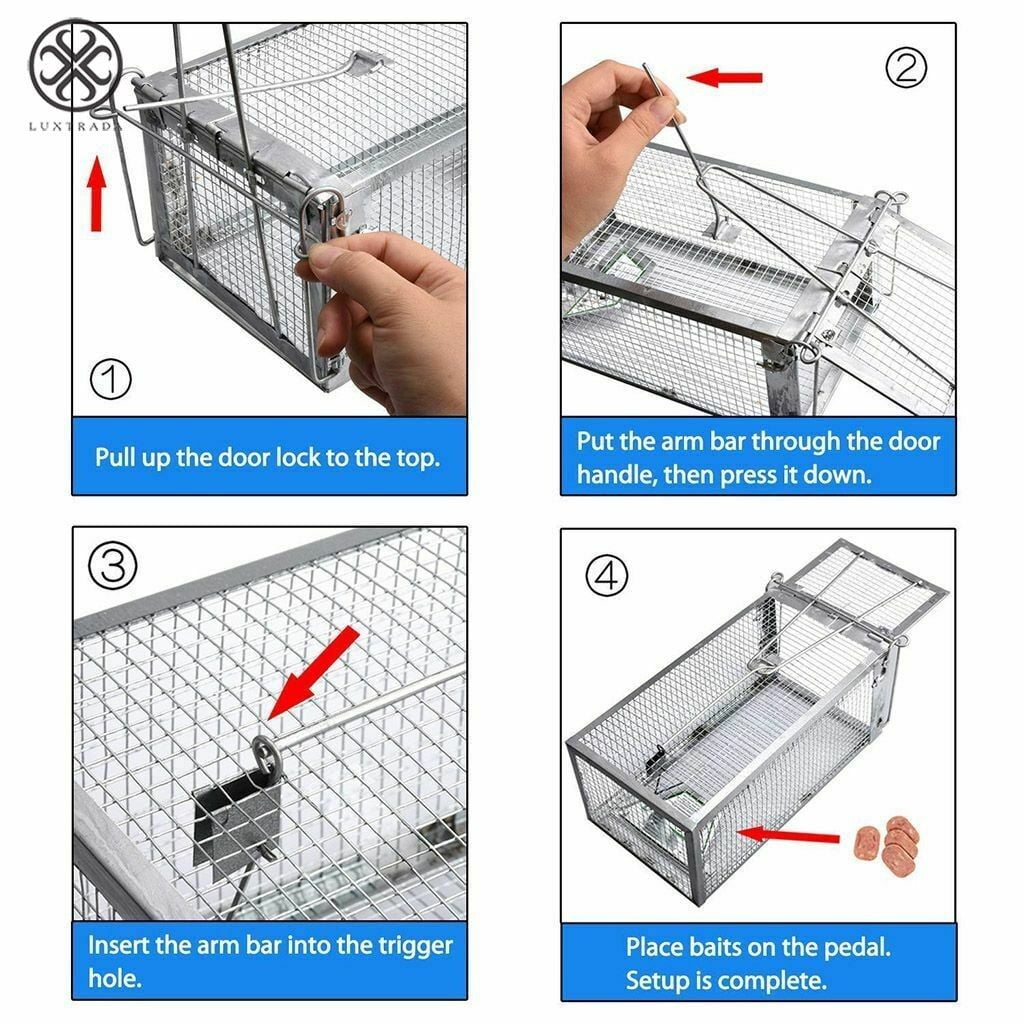 Luxtrada 2pcs Small Animal Humane Live Cage Rat Mouse Mice Chipmunk Small Rodent Catch Trap for Indoor and Outdoor for Gopher Opossum Skunk Groundhog Squirrel Spay Feral Stray Cats Rescue Wild Rabbits