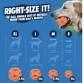 thumbnail image 3 of Juguete para perros Chuckit! Pelota Air Fetch Tamaño Mediano 2.5 pulgadas, 3 of 8