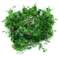 thumbnail image 2 of Casaio Miniature Moss Decoration Fake Moss Artificial Moss For Potted Plants Greenery Moss Home Decor Fairy Garden Crafts Wedding Decoration Fresh Green Faux Moss Accessories, 2 of 8