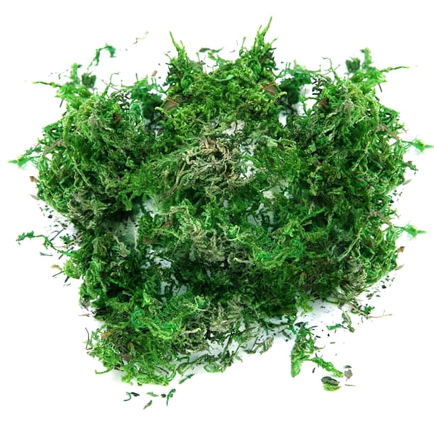 Musgo Artificial Para Plantas En Maceta, Musgo Verde, Decoración Del Hogar, Jardín De Hadas, Manualidades, Decoración De Bodas, Verde Fresco