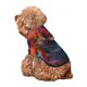 thumbnail image 5 of Fotbe Neon Spectrum Cat Portrait Sudadera con Estampado para Perros Pequeños – Suéter con Capucha para Mascotas, Tela Suave de Forro Polar con Bolsillo-XX-Large, 5 of 7