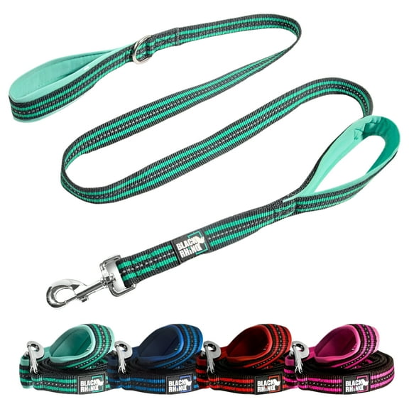 BLACK RHINO Striped Dog Leash Double Handle Reflective (5 Ft, Aqua/Gr)