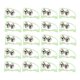 thumbnail image 1 of Kit de Accesorios de Pesca con Campana de Mordida para Caña de Pescar, Doble Campana de Alarma, Punta de Caña de Pescar Nocturna Fluorescente y Clip de Campana de Mordida de Pescado YUNYI BRAND Deportes, 1 of 8