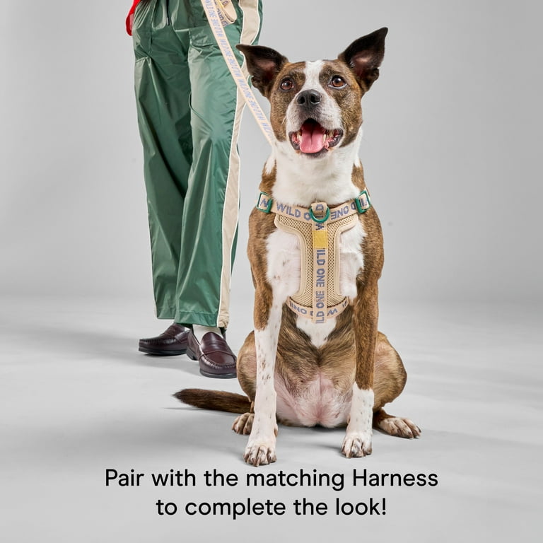 Wild One 6ft Heavy Duty Lightweight Nylon Dog Leash, Retro Tan