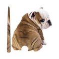 thumbnail image 1 of Cute Car Sticker Cartoon Dog Sticker Window Wiper Sticker and Decal For Car Styling Rear Windshield Decoration, 1 of 8