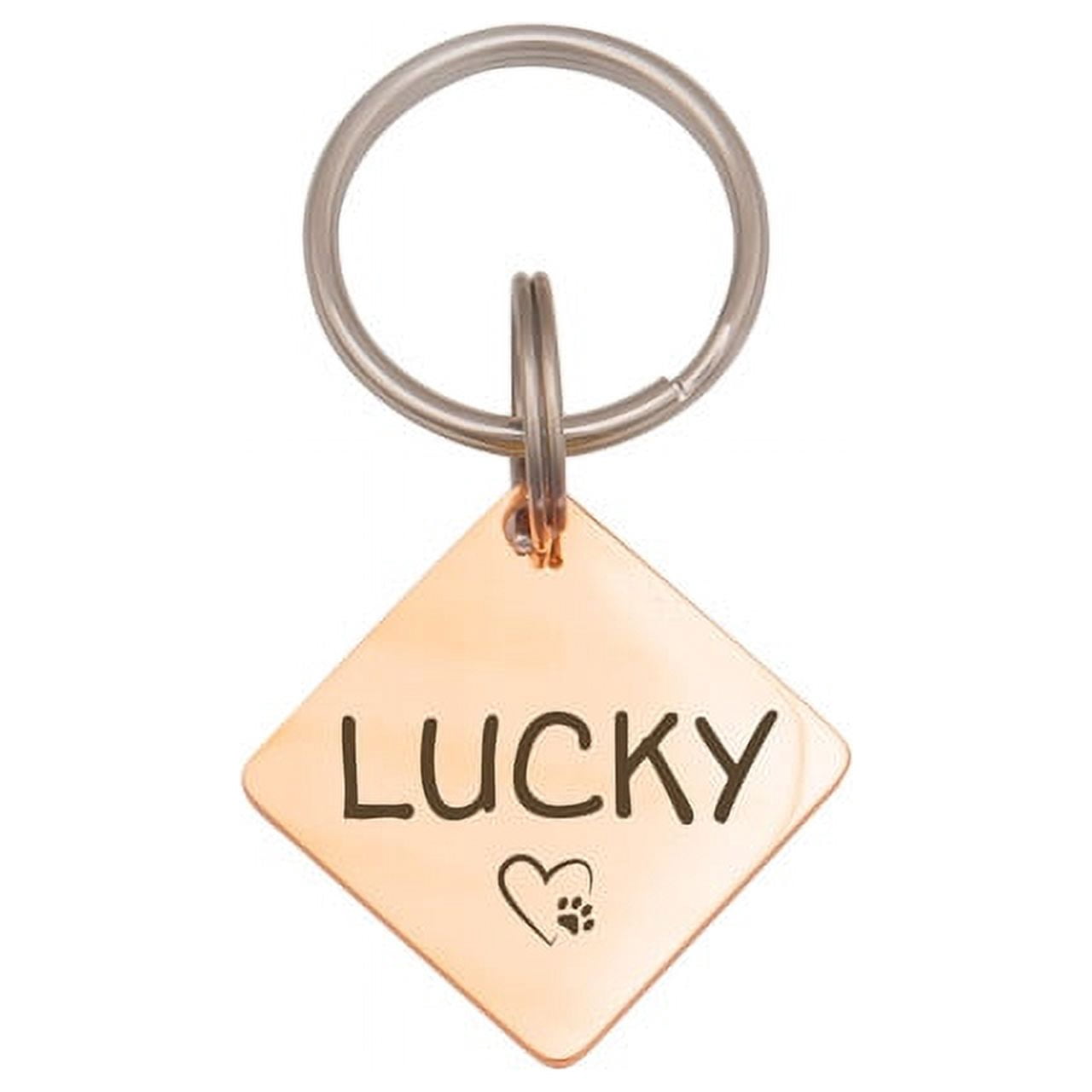 Anavia Stainless Steel Double Sided Diamond Name and Icon Engraved Dog & Cat ID Tag, Multi-color, L