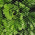 thumbnail image 3 of Malla antipájaros para jardín Protección de malla de 1,5 cm para cuencas de agua, frutas, verduras y plantas, blanco, 1,5 * 20 m TUNC Sencillez, 3 of 3