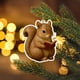 thumbnail image 4 of Colección de adornos para amantes de los libros | Adornos colgantes de animales de lectura acrílicos 2D | Decoración literaria de zorro, mapache y pájaro para árbol de Navidad | Regalo para lect, 4 of 4