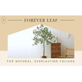thumbnail image 1 of Eucalyptus Tree - Artificial Trees for Home Decor Indoor, Floor Plants for Living Room Decor, Faux Plants Indoor Tall, Faux Eucalyptus Tree, Artificial Plants for Home Decor Indoor - 6 Feet, 1 of 5