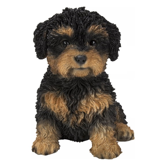 BABY CAVAPOO BLACK & TAN