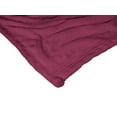 thumbnail image 4 of The Northwest 1COL-23600-0396-OOF 50 x 60 in. NCAA Texas Southern University Alumni Silk Touch Throw Blanket, 4 of 5