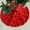 120CM, variant on Nkmbld Large Christmas Tree Skirts, Luxury Red Velvet Tree Collar for Party Rustic Xmas Holiday Decorations Home