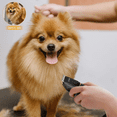 thumbnail image 7 of HOLDOG Dog Clippers Professional Heavy Duty Grooming Clipper 3-Speed Low Noise High Power Rechargeable Cordless Pet Tools for Small & Large Dogs Cats Pets with Thick Coats, 7 of 7