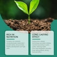 thumbnail image 6 of Slow-Release Seaweed Nutrient-Rich Plant Growth Gardening Fertilizer Sticks - Controlled Release Long-Lasting Easy-To-Handle For Plant Nutrition - Indoor Outdoor Potted Plants, 6 of 8