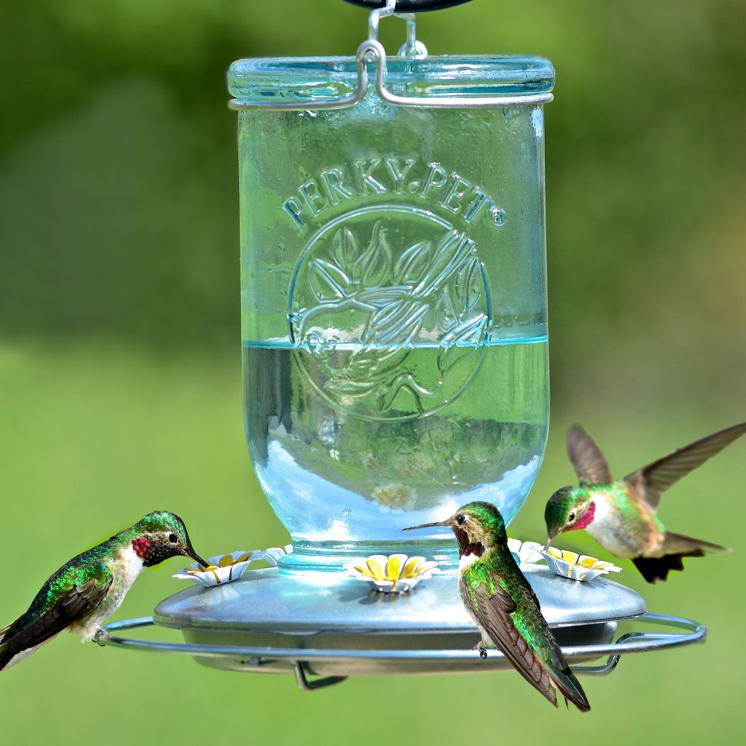 Perky-Pet 32 oz Mason Jar Hummingbird Feeder