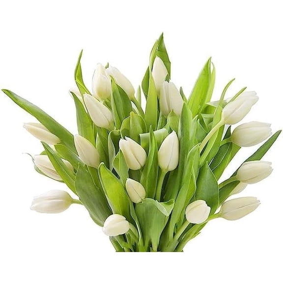KaBloom :10 Pink Tulips, 10 White Dendrobium Orchids, 6 greens, Next-Day Delivery.