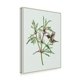 thumbnail image 2 of Trademark Fine Art 'Leonurus Japonicus I' Canvas Art by Melissa Wang, 2 of 4