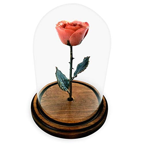 Forever Rose Usa Brand The Beauty And The Beast Rose Enchanted Rose This Is A Real Rose Pink Walmart Com Walmart Com Forever Rose Usa Brand The Beauty And The Beast Rose Enchanted Rose This Is A Real Rose Pink Walmart Com Walmart Com