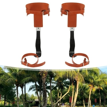 TOOL1SHOoo Tree Climbing Spike Set Pole Climbing Spurs Steel Adjustable Climber Gloves Belt