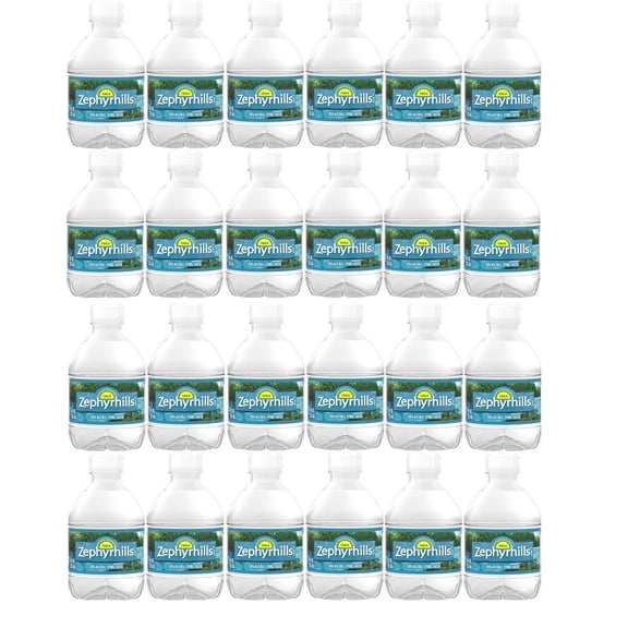 Zephyrhill Florida Spring Bottled Water, 24 Pack - Still Drinking Water with Naturally Occurring Minerals for Taste - 8 Fl Oz Mini Bottles